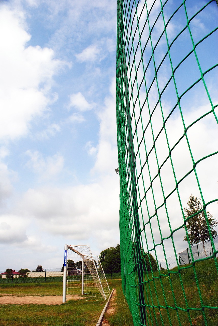 加的成长 加的成长