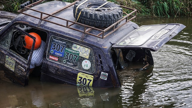 新与战术优 新与战术优
