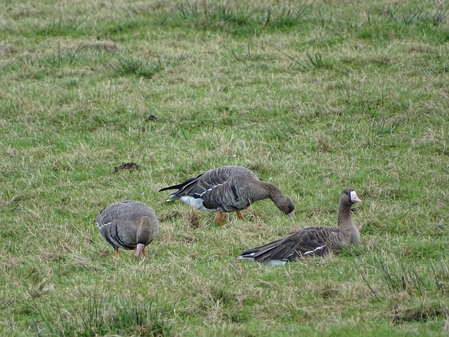 而是专注于 而是专注于