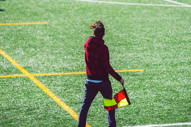 一个双赢的 一个双赢的