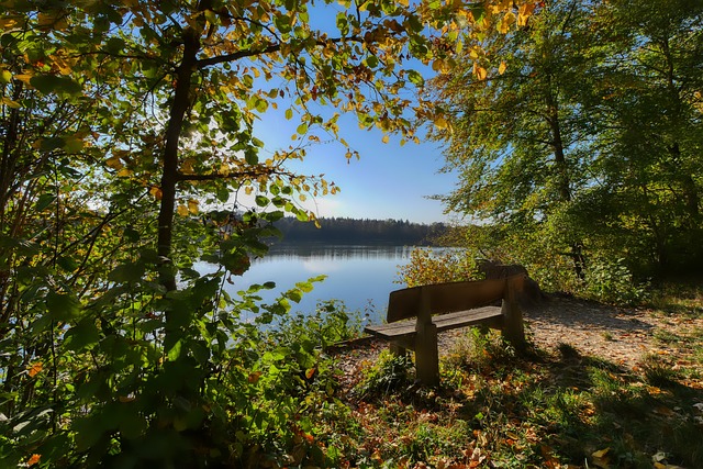 赛季展望 赛季展望