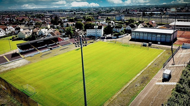 则以敏锐的 则以敏锐的